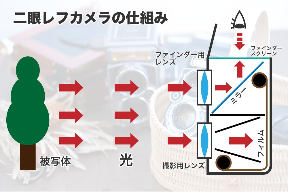 二眼レフカメラの構造