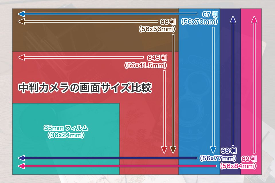 中判カメラの画面サイズ比較