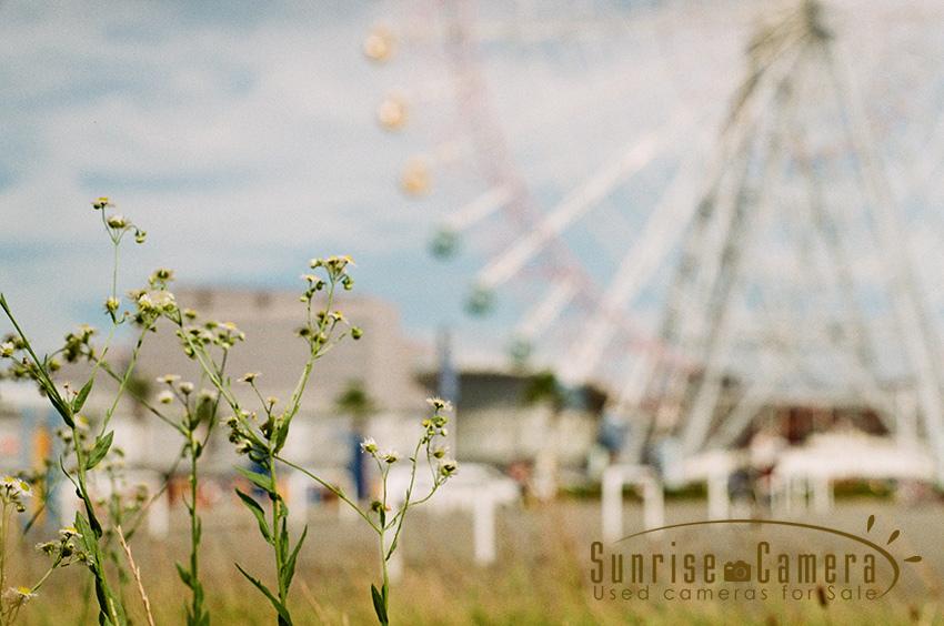 PENTAX SP / Super takumar(スーパータクマー) 55mm f1.8の作例