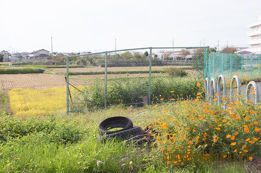 遠くまでピントが合った写真