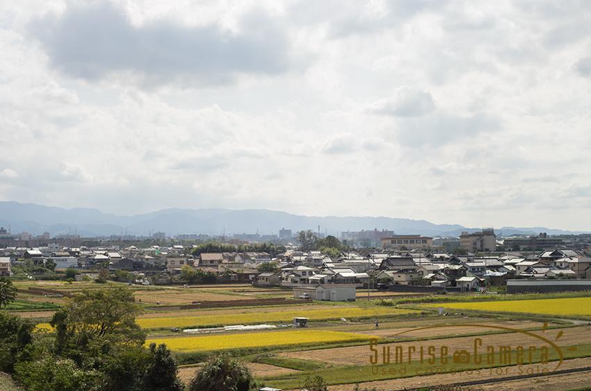 OLYMPUS G.ZUIKO AUTO-S 50mm F1.4の作例