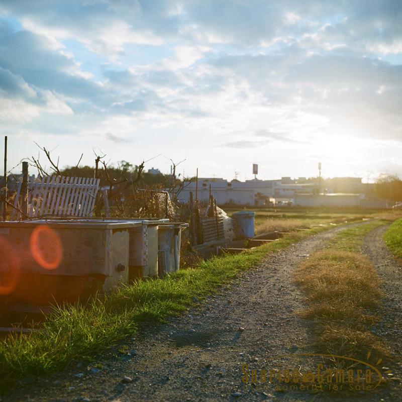 Rolleiflex ローライフレックス3.5Fの作例