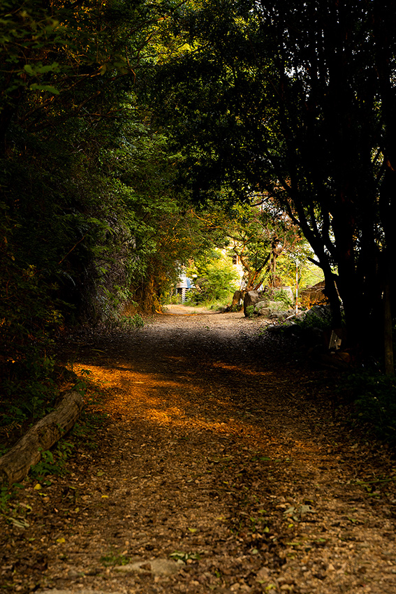 Voigtlander(フォクトレンダー) COLOR-HELIAR 75mm F2.5 MCの作例