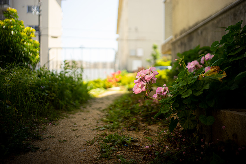 Leica(ライカ) SUMMICRON-M 28mm F2.0 ASPHの作例