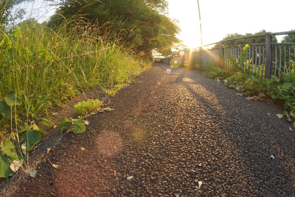 Canon(キヤノン) New FISH-EYE FD 15mm F2.8　魚眼の作例