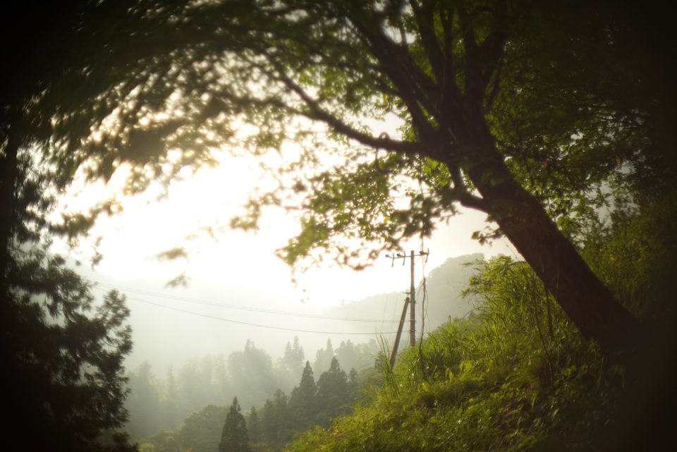 OLYMPUS(オリンパス) H.ZUIKO Auto-S 42mm F1.2の作例