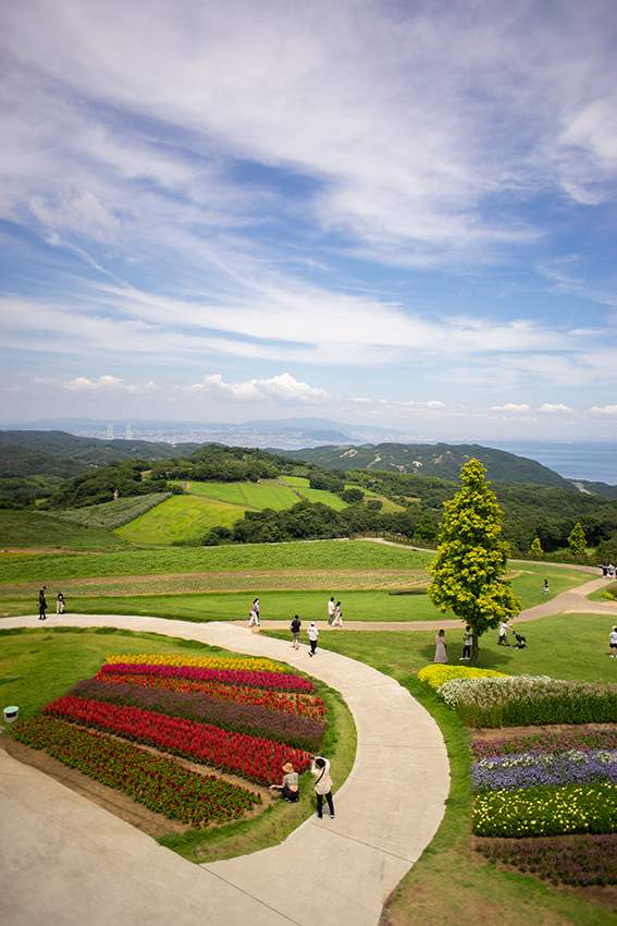 PENTAX（ペンタックス）SMC Takumar 24mm F3.5の作例