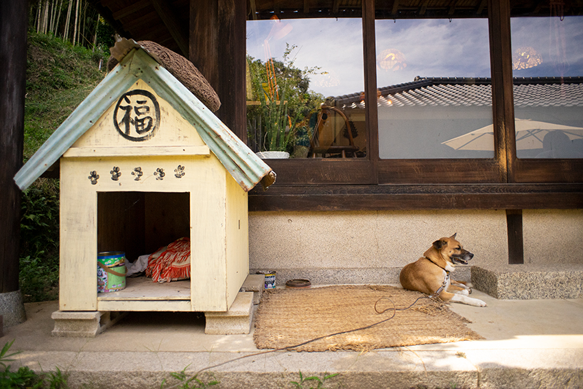 PENTAX（ペンタックス）SMC Takumar 24mm F3.5の作例