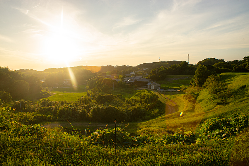 PENTAX（ペンタックス）SMC Takumar 24mm F3.5の作例