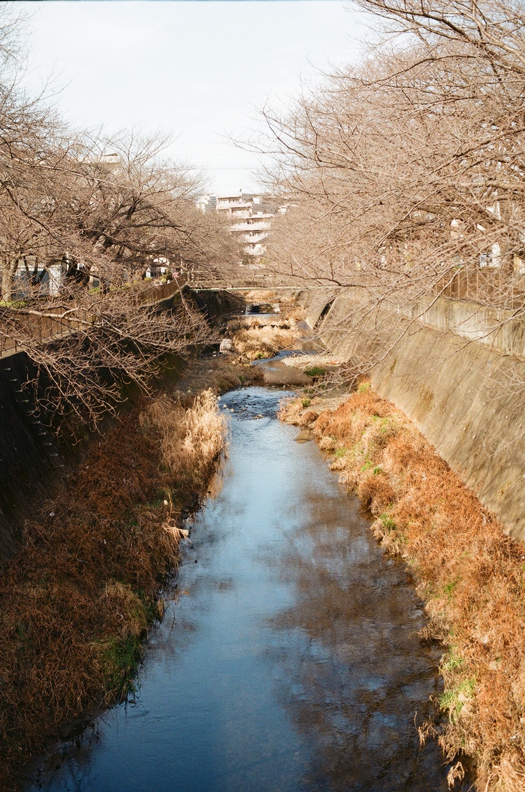 Nikon F アイレベル／Kodak color 200