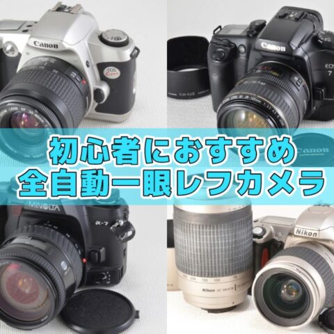 初心者におすすめ！簡単操作の35mmオートフォーカス一眼レフカメラ（フィルムカメラ）10選