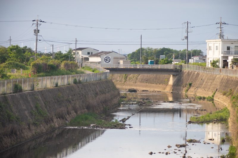 Nikon Nikkor-Q 13.5cm F3.5の作例写真