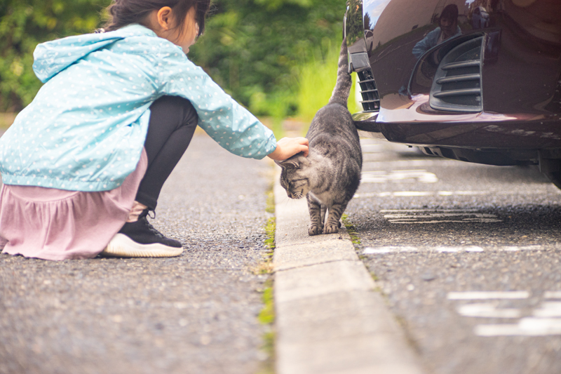 Nikon Nikkor-Q 13.5cm F3.5の作例写真