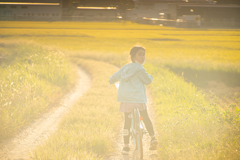 Nikon Nikkor-Q 13.5cm F3.5の作例写真