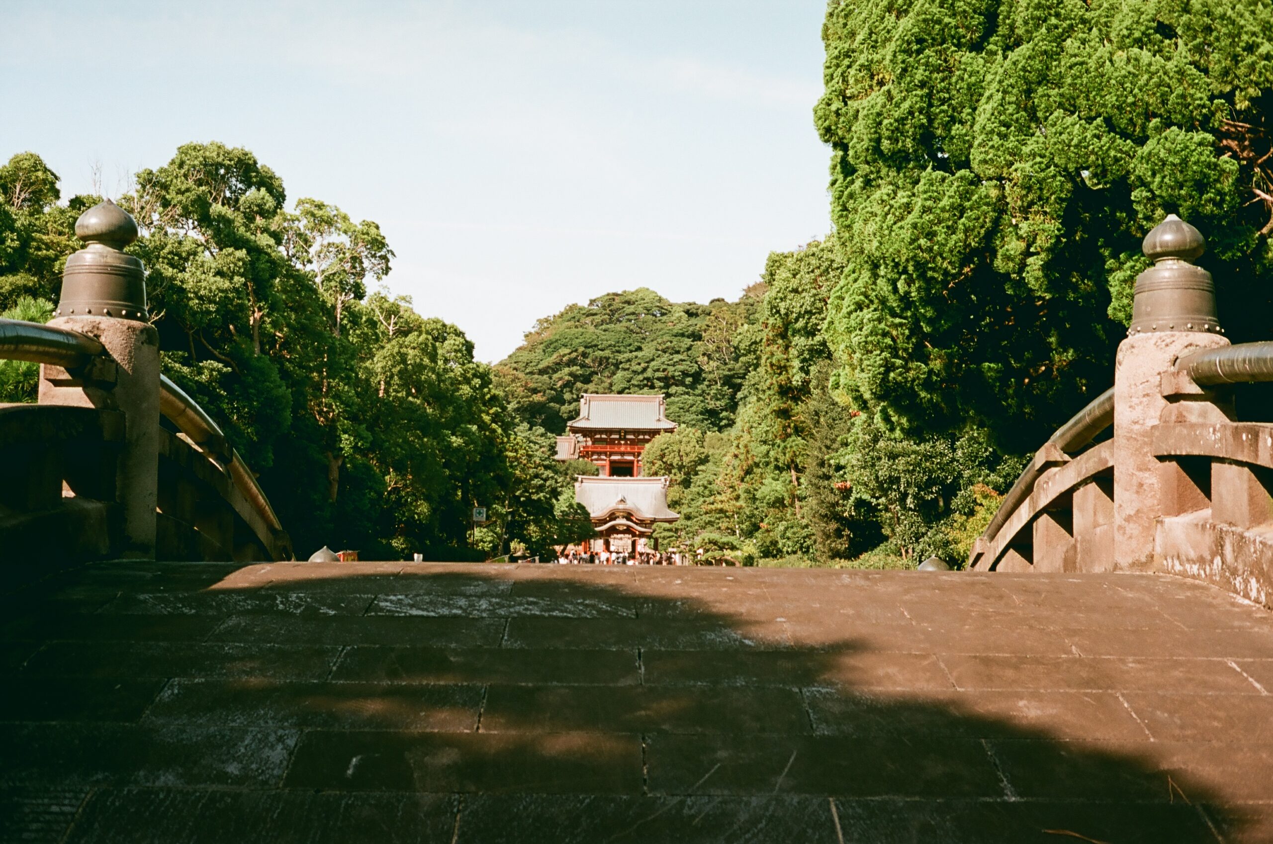 KONICA SIIの作例写真