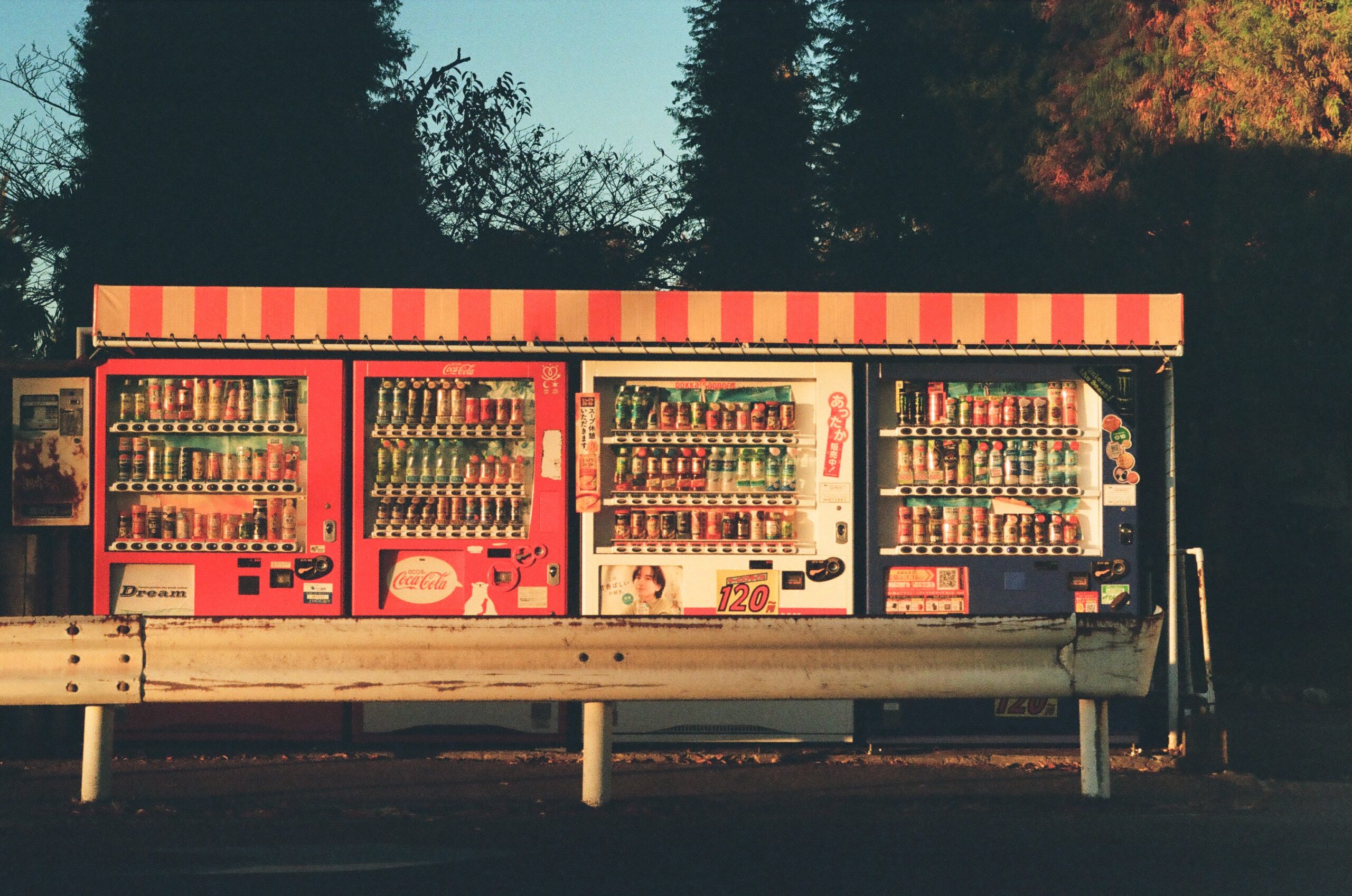 PENTAX SL / Super Takumar 55mm F1.8の作例写真