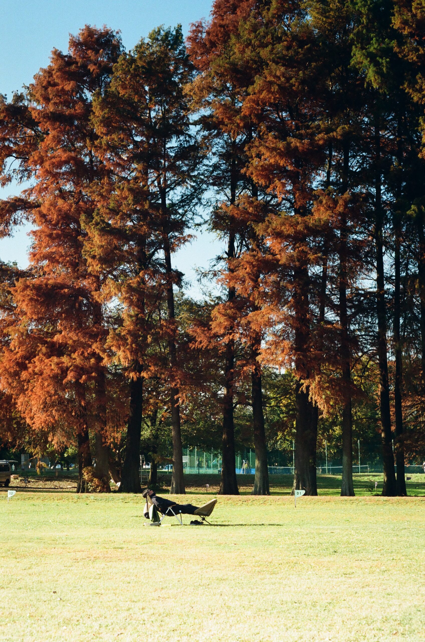 PENTAX SL / Super Takumar 55mm F1.8の作例写真