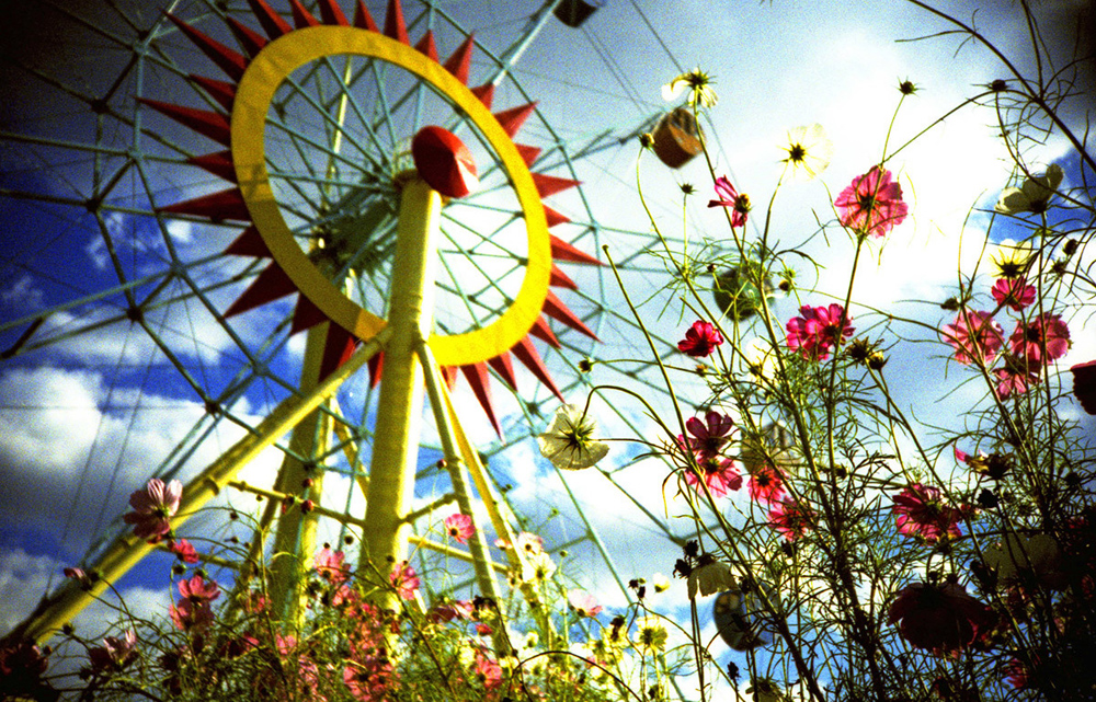 しあわせの観覧車の表紙 フィルム 花と観覧車