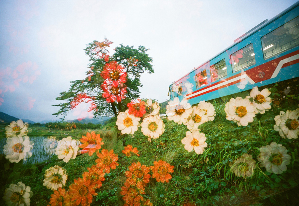 花と電車の多重露光 フィルム