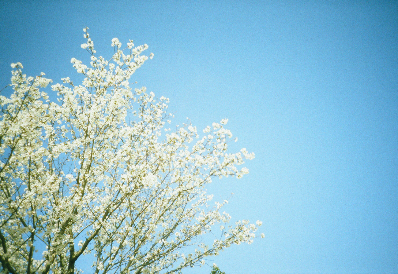 LOMO LC-Aの世界