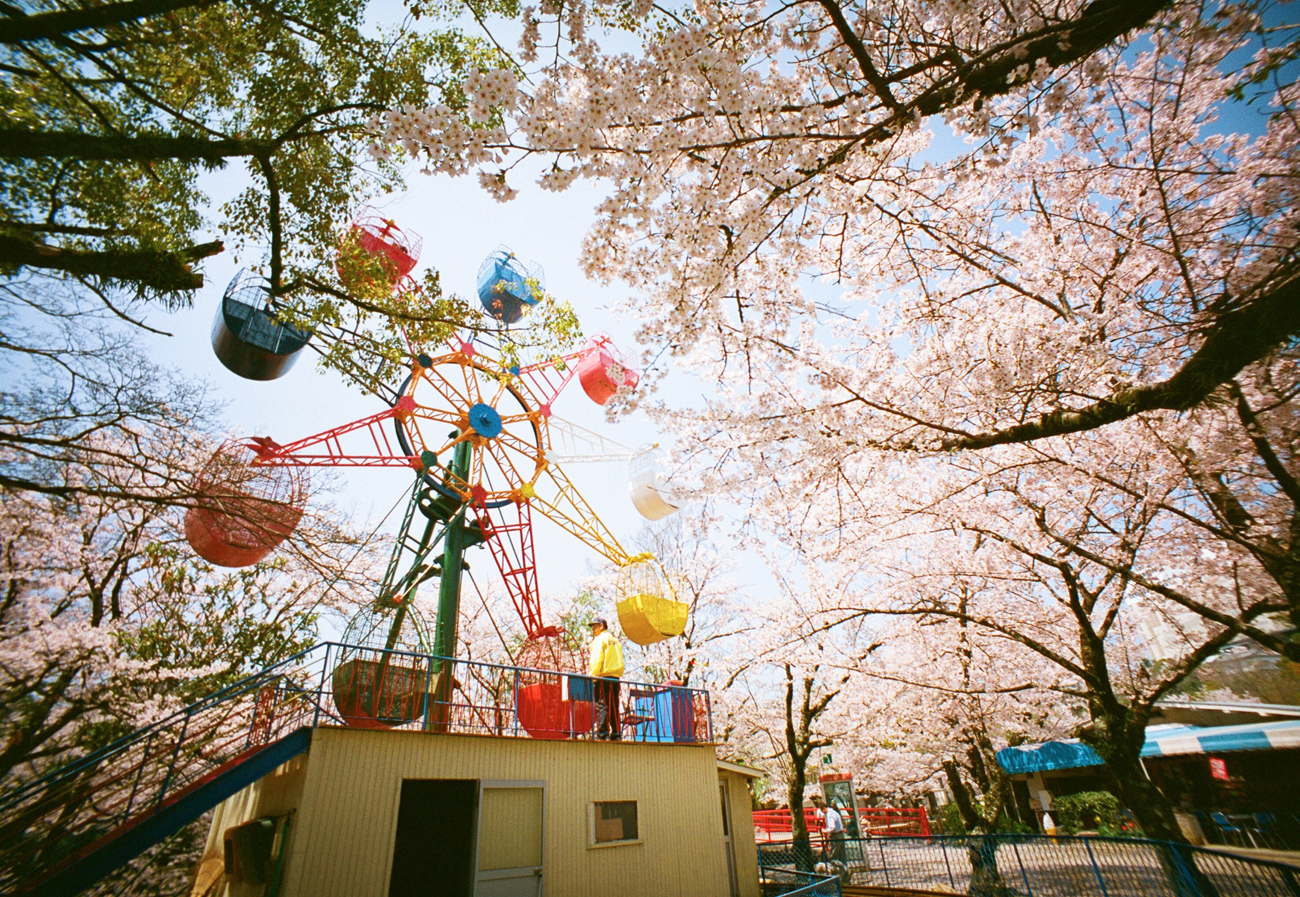 LOMO LC-Wideで撮る観覧車