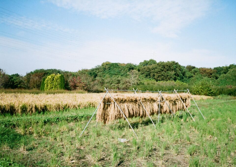 FUJIFILM 100の作例写真